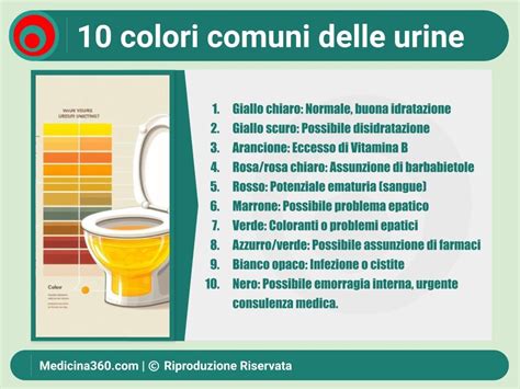 hermes può cambiare colore urine|pigmento urinario.